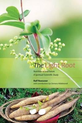 THE LIGHT ROOT - CLEMENS HILDEBRANDT,MICHAEL WILLIAMS,RAL - cover