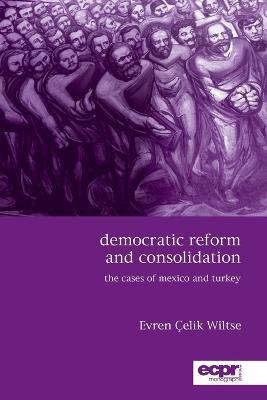 Democratic Reform and Consolidation: The Cases of Mexico and Turkey - Evren Celik Wiltse - cover