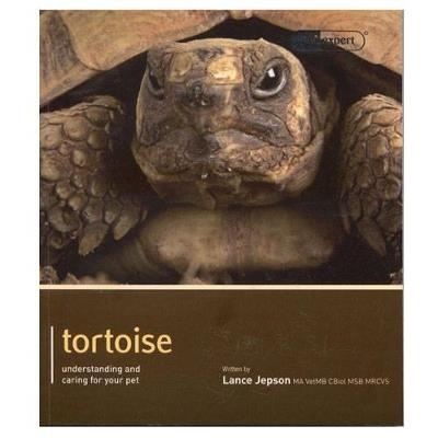 Tortoise - Pet Expert: Understanding and Caring for Your Pet - Lance Jepson - cover