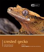 Crested Gecko - Pet Expert: Understanding and Caring for Your Pet