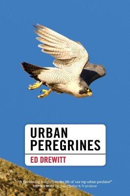 Urban Peregrines - Ed Drewitt - cover