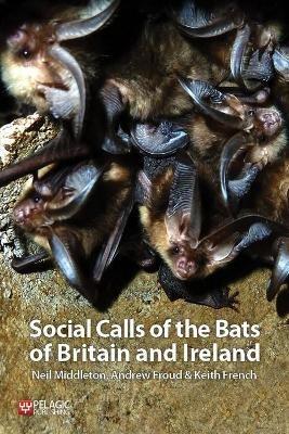 Social Calls of the Bats of Britain and Ireland - Neil Middleton,Andrew Froud,Keith French - cover