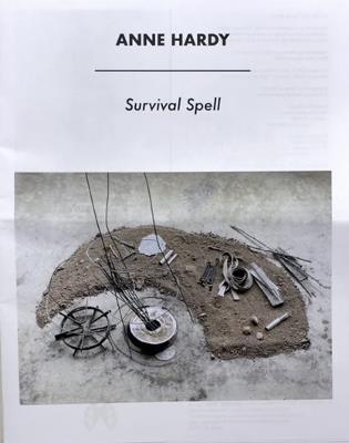 Survival Spell - Anne Hardy - cover