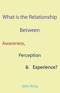 What is the Relationship Between Awareness, Perception & Experience? - John King - cover