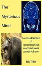 The Mysterious Mind: A Consideration of Consciousness, Materialism & Panpsychism