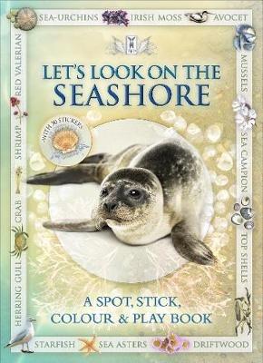 Let's Look on the Seashore - Caz Buckingham,Andrea Pinnington - cover