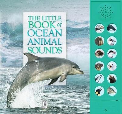 The Little Book of Ocean Animal Sounds - Caz Buckingham,Andrea Pinnington - cover