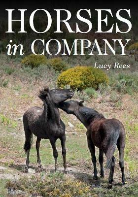 Horses in Company - Lucy Rees - cover