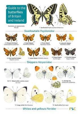 Guide to the butterflies of Britain and Ireland - John Bebbington - cover