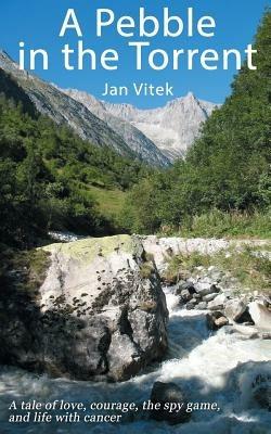 A Pebble in the Torrent - Jan Vitek - cover