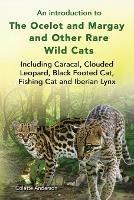An introduction to The Ocelot and Margay and Other Rare Wild Cats Including Caracal, Clouded Leopard, Black Footed Cat, Fishing Cat and Iberian Lynx - Colette Anderson - cover
