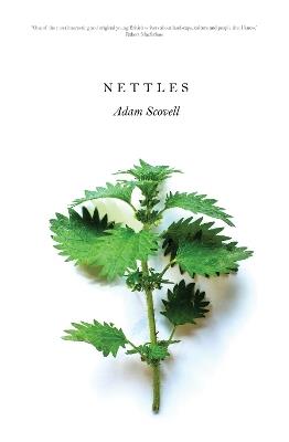 Nettles - Adam Scovell - cover