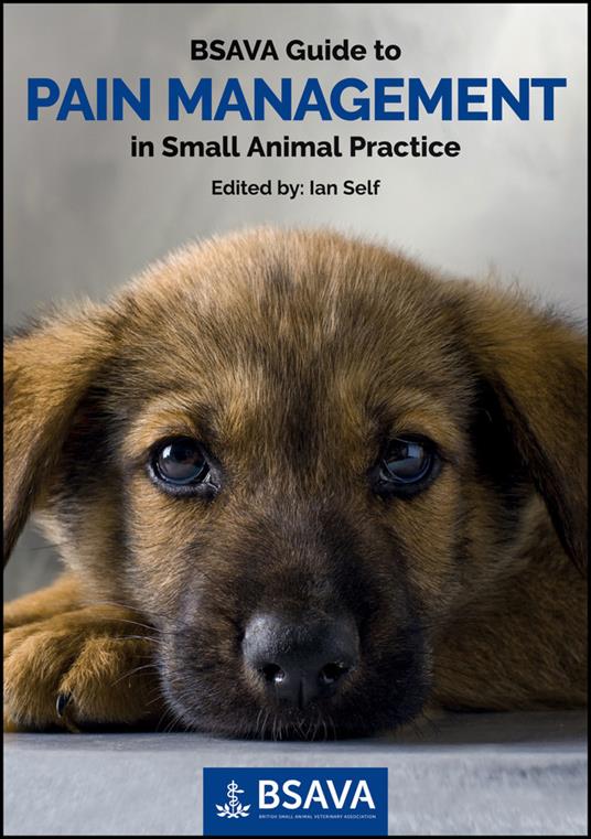 BSAVA Guide to Pain Management in Small Animal Practice - cover