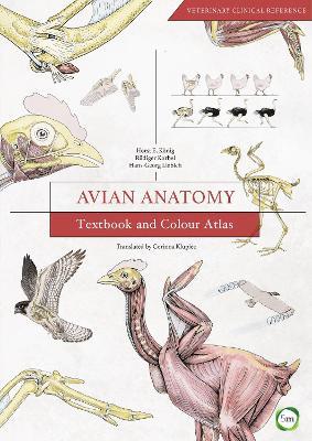 Avian Anatomy 2nd Edition: Textbook and Colour Atlas - Horst Erich Konig - cover