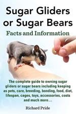 Sugar Gliders or Sugar Bears: Facts and Information