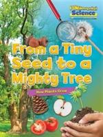 From a Tiny Seed to a Mighty Tree: How Plants Grow