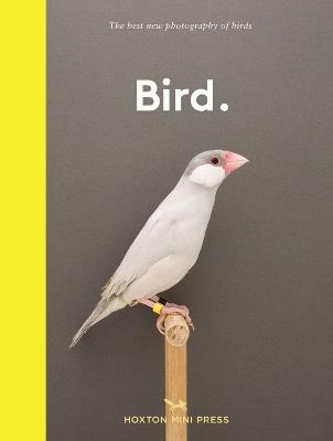 Bird.: The best new photography of birds - Hoxton Mini Press - cover