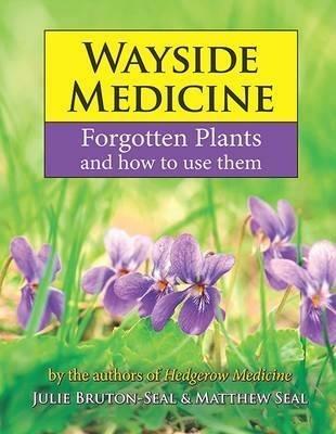 Wayside Medicine: Forgotten Plants and how to use them - Julie Bruton-Seal,Matthew Seal - cover