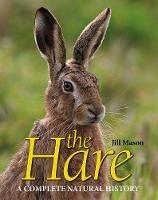 The Hare: A complete natural history - Jill Mason - cover