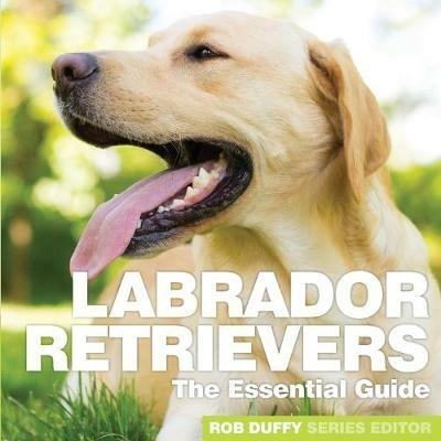 Labrador Retrievers: The Essential Guide - cover