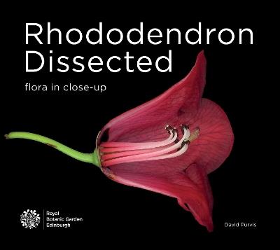 Rhododendron Dissected: Flora in Close-up - cover