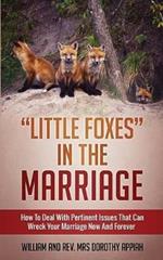 Little Foxes in the Marriage: How to Deal with Pertinent Issues That Can Wreck Your Marriage Now and Forever