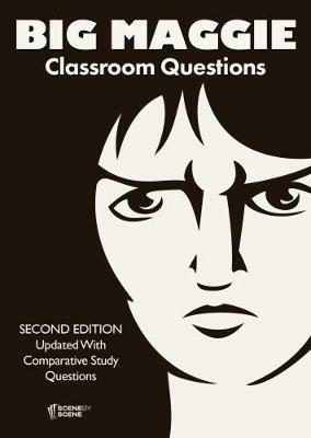 Big Maggie Classroom Questions - Amy Farrell - cover