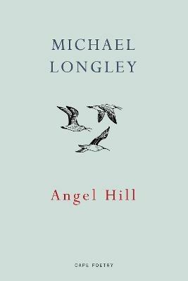 Angel Hill - Michael Longley - cover
