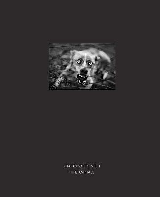 The Animals - Giacomo Brunelli - cover