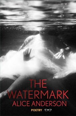 The Watermark - Alice Anderson - cover