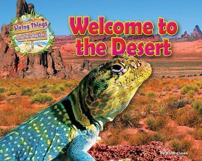 Welcome to the Desert - Honor Head - cover