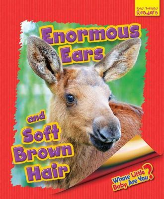 Whose Little Baby Are You? Enormous Ears and Soft Brown Hair - Ellen Lawrence - cover
