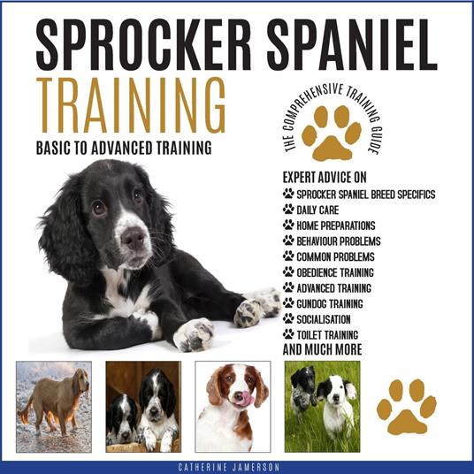 SPROCKER SPANIEL TRAINING: