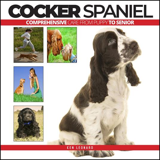 COCKER SPANIEL: