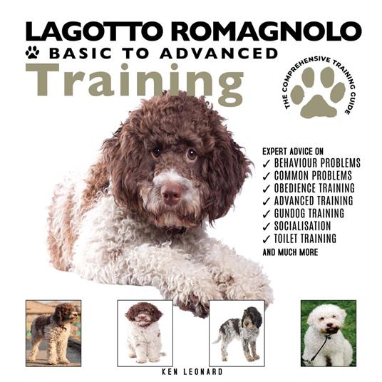 Lagotto Romagnolo: