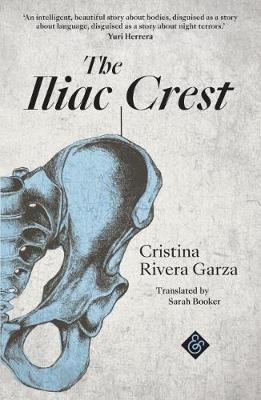 The Iliac Crest - Cristina Rivera Garza - cover
