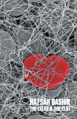 The Celox and the Clot - Hafsah Bashir - cover