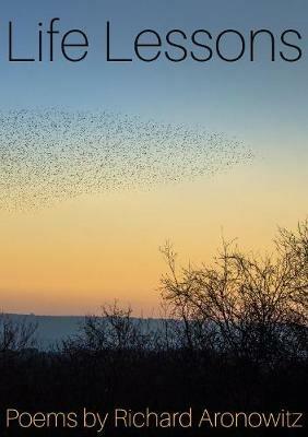 Life Lessons - Richard Aronowitz - cover
