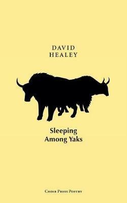 Sleeping Among Yaks - David Healey - cover