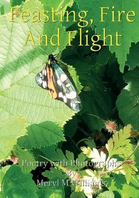 Feasting, Fire And Flight - Meryl M Williams - cover
