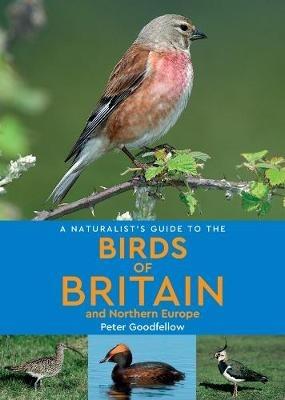 A Naturalist's Guide to the Birds of Britain and Northern Europe (2nd edition) - Peter Goodfellow - cover