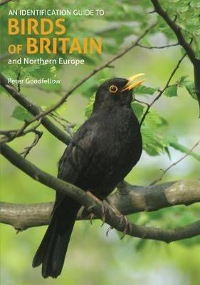 An Identification Guide to Birds of Britain and Northern Europe (2nd edition) - Peter Goodfellow - cover