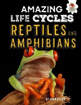 Reptiles and Amphibians - Amazing Life Cycles - John Allan - cover
