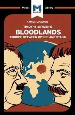 An Analysis of Timothy Snyder's Bloodlands: Europe Between Hitler and Stalin - Helen Roche - cover