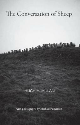The Conversation of Sheep - Hugh McMillan - cover