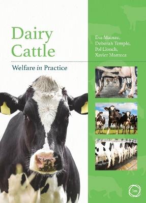 Dairy Cattle Welfare in Practice - Eva Mainau,Deborah Temple,Pol Llonch - cover