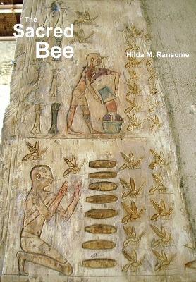 The Sacred Bee: In Ancient Times and Folklore - Hilda M Ransome - cover