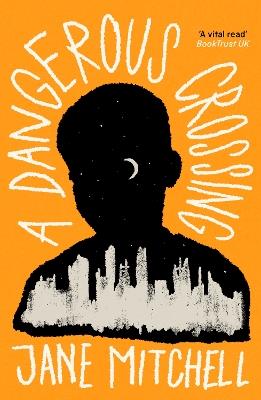 A Dangerous Crossing - Jane Mitchell - cover