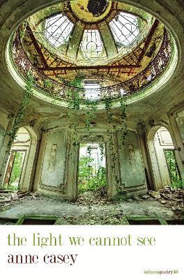 The Light We Cannot See - Anne Casey - cover