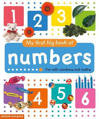 My First Big Book of Numbers - cover
